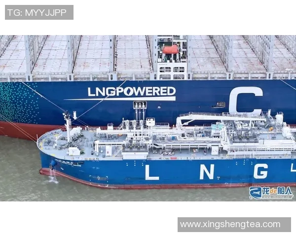 高校联赛深度解析：LNG如何在竞争中实现成功转型与发展