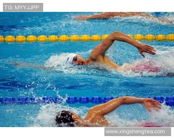 游泳名将背后的奋斗故事与成就：从泳池到世界舞台的辉煌历程
