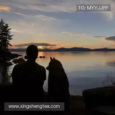 徐欣
